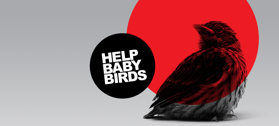 Help Baby Birds